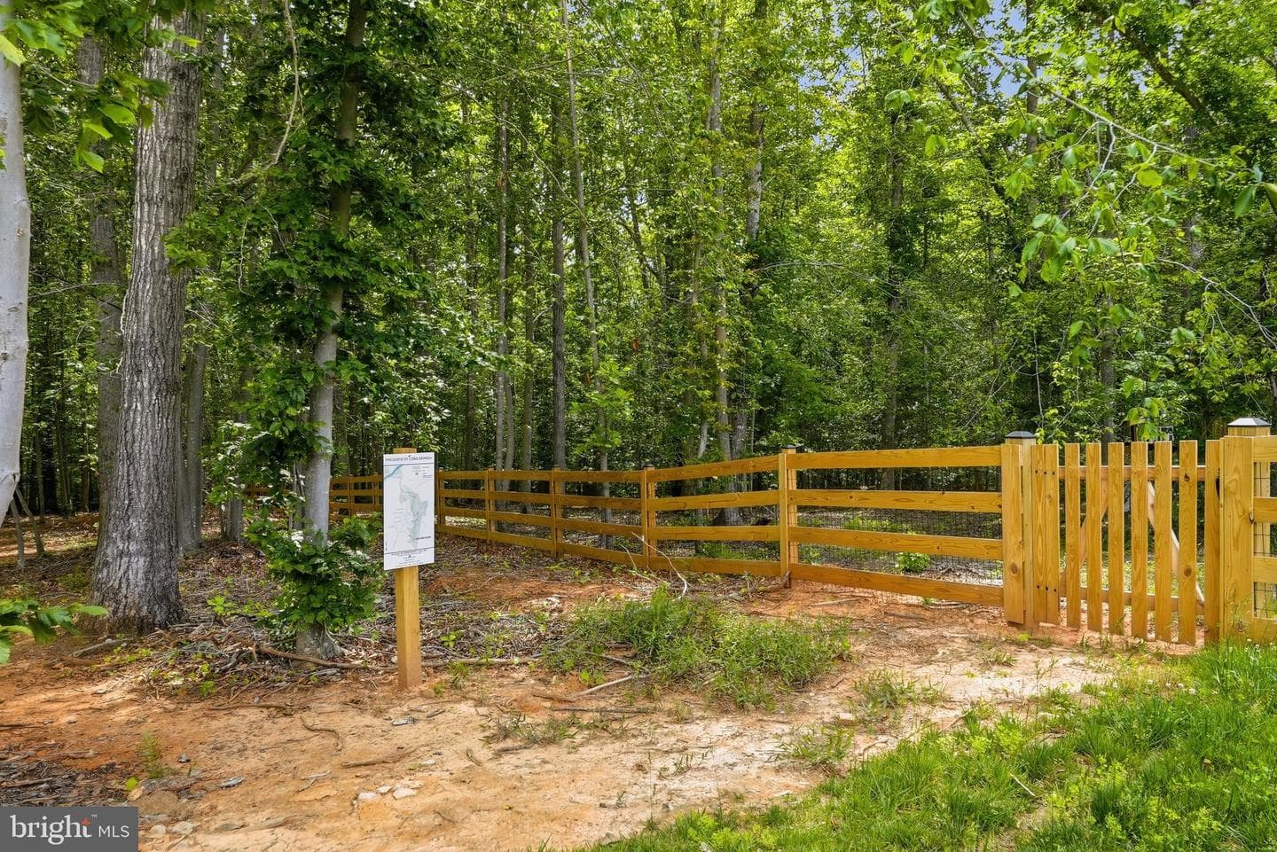 8708 Classic Lakes Way photo 32