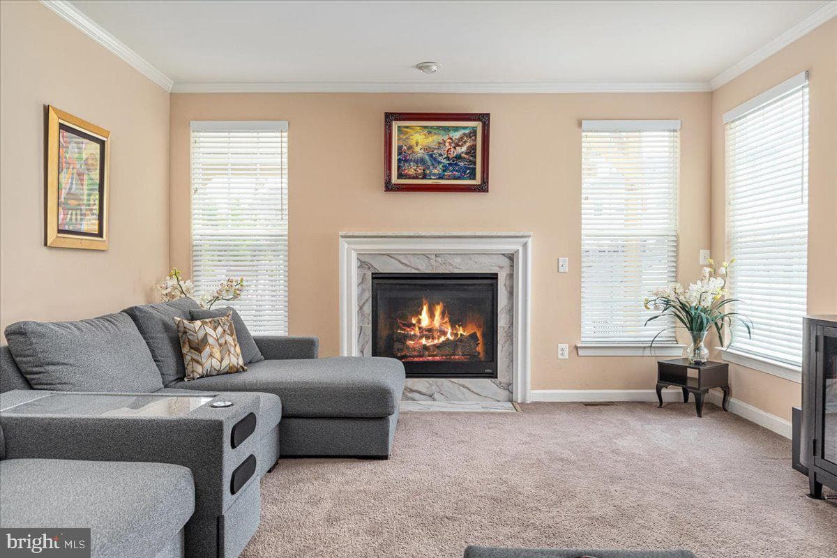 12137 Hickory Falls Court photo 16