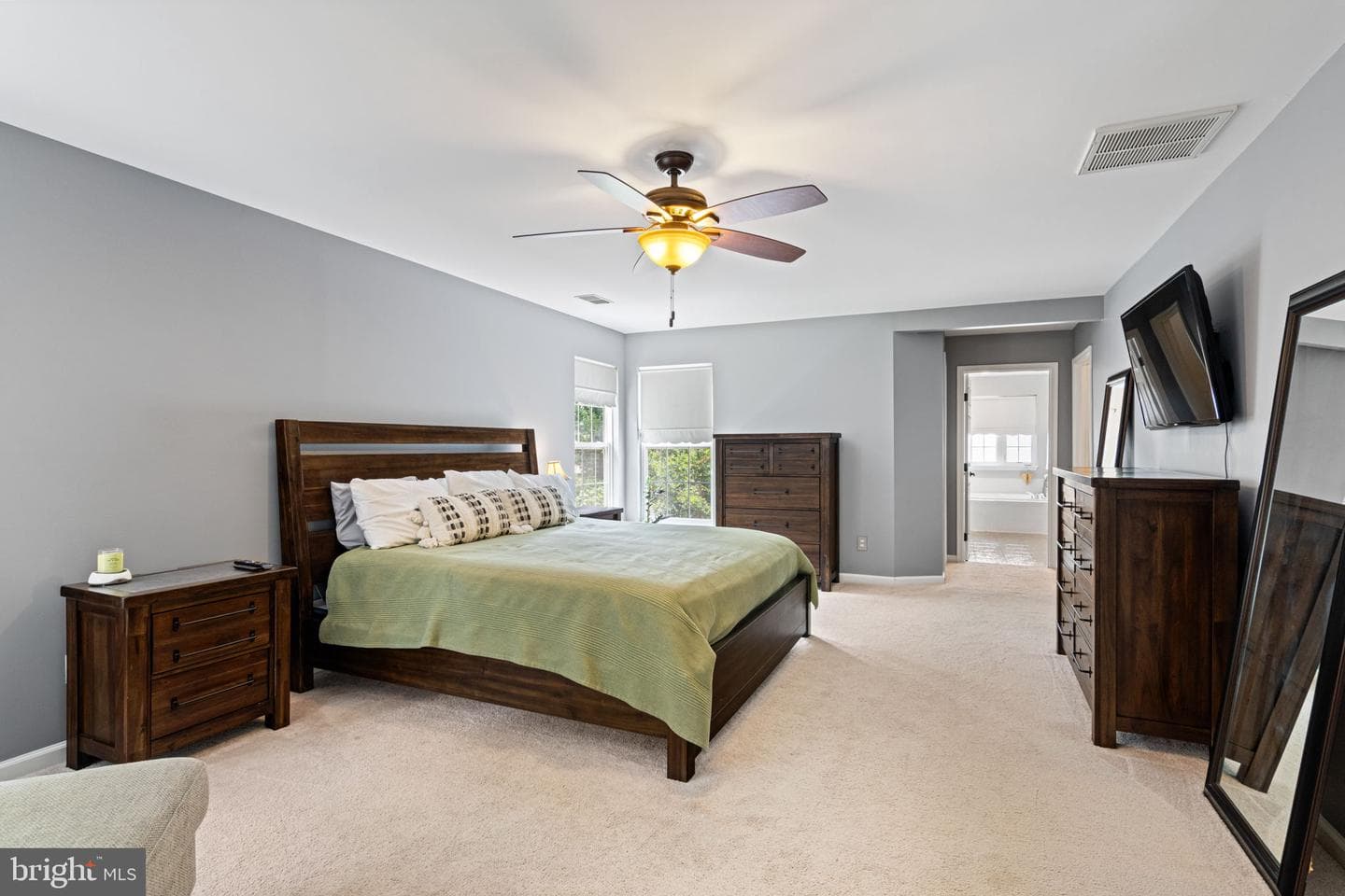 10065 Tummel Falls Drive photo 20