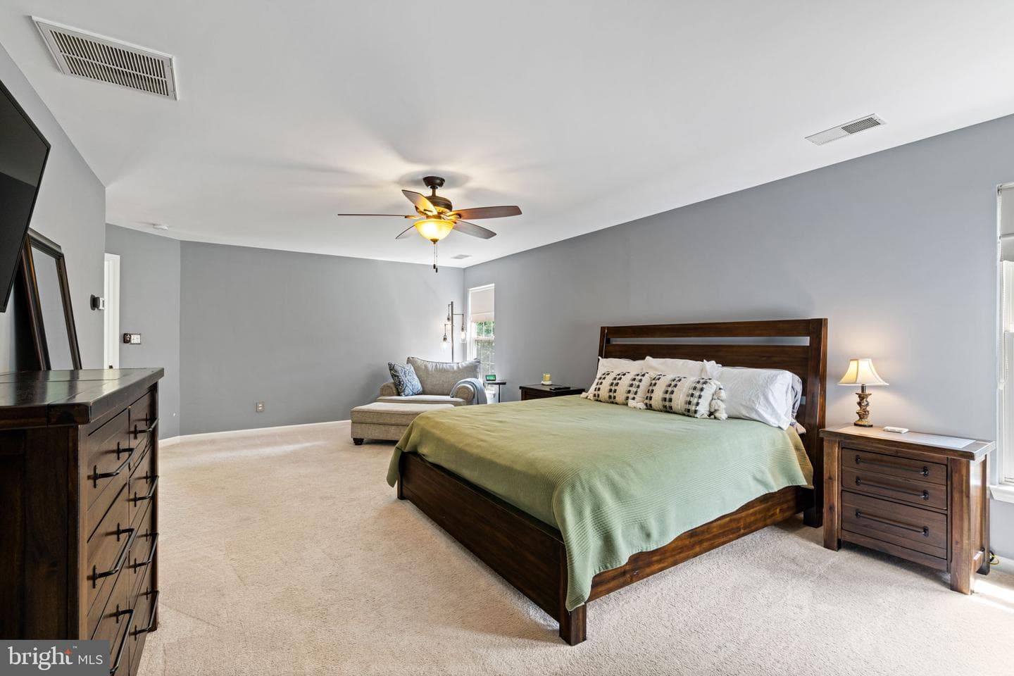10065 Tummel Falls Drive photo 21
