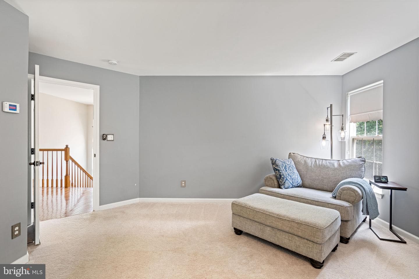 10065 Tummel Falls Drive photo 22