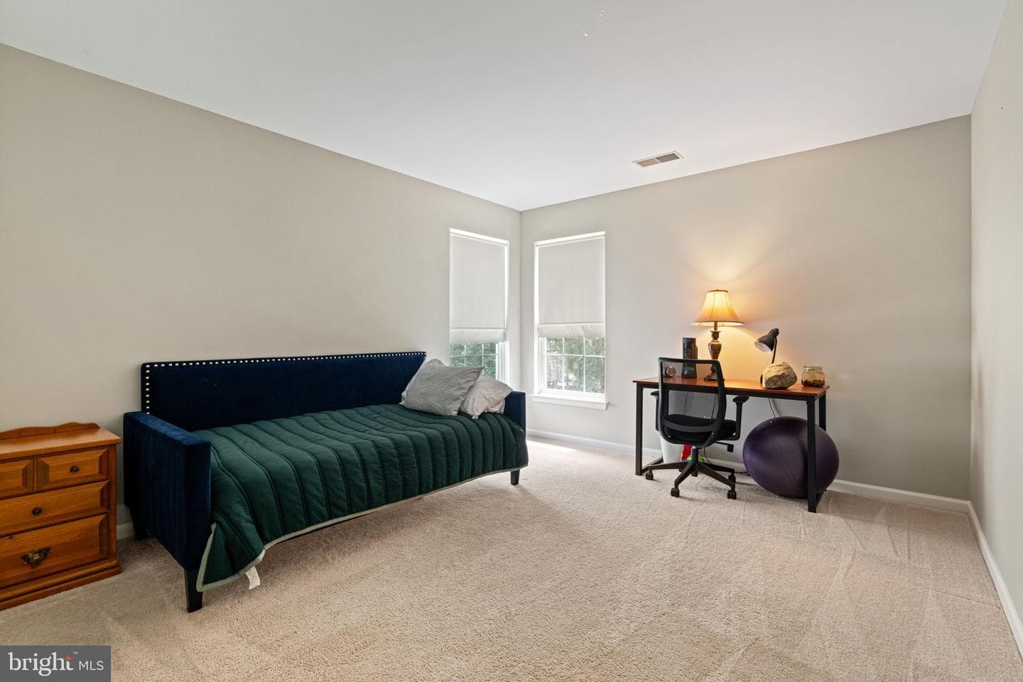 10065 Tummel Falls Drive photo 33
