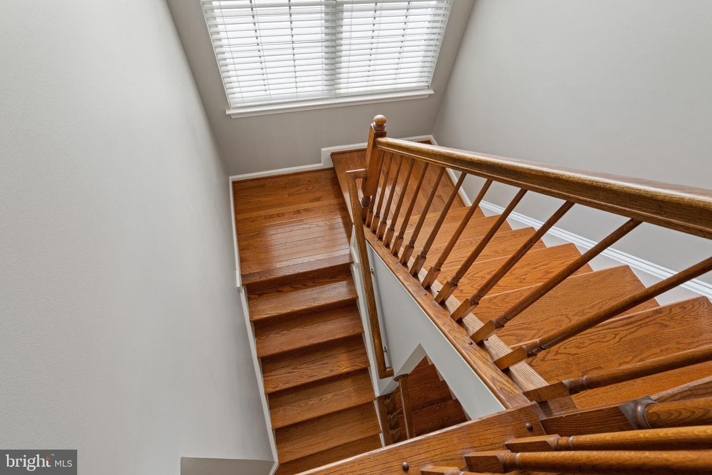 10065 Tummel Falls Drive photo 34