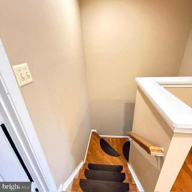 3965 Cressida Place photo 37