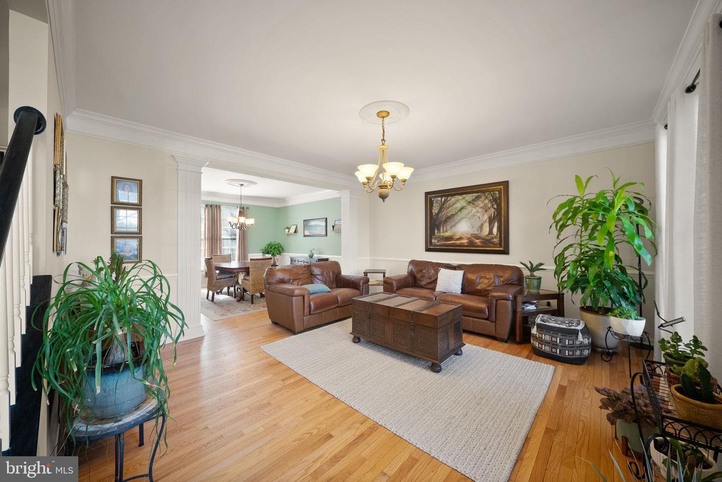 9009 Paddington Court photo 20