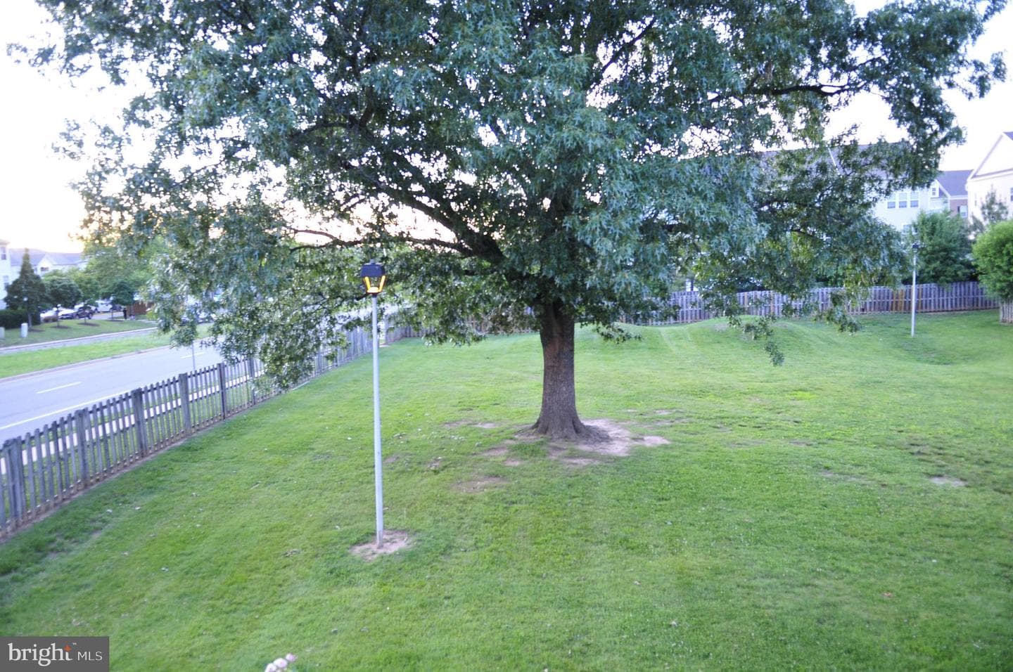7504 Clemson Court photo 30