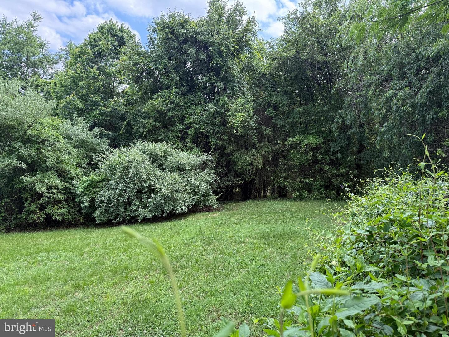 10023 Lake Jackson Drive photo 25