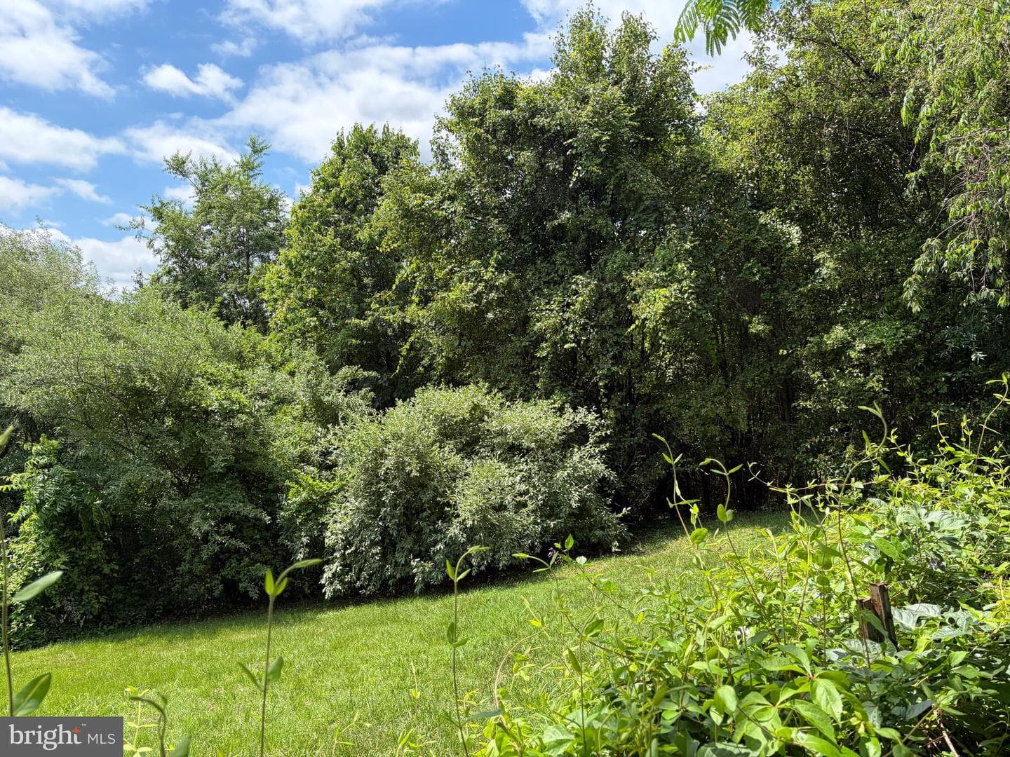 10023 Lake Jackson Drive photo 33