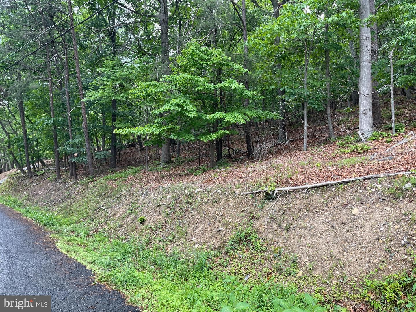 16207 Sumney Drive photo 10