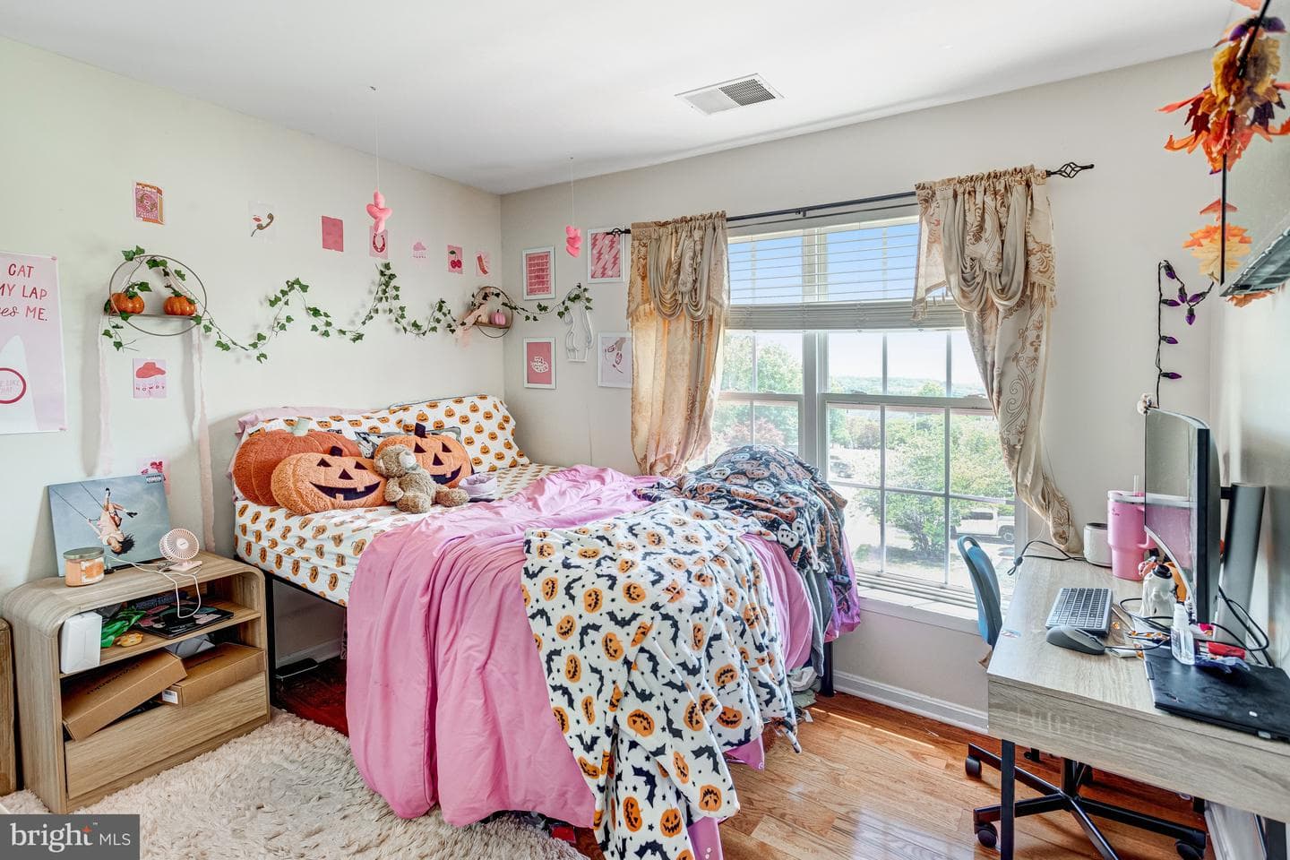 3020 Frankfurt Court photo 22