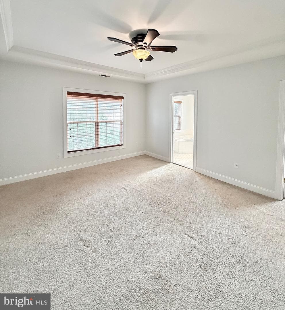 15925 Greymill Manor Drive photo 37