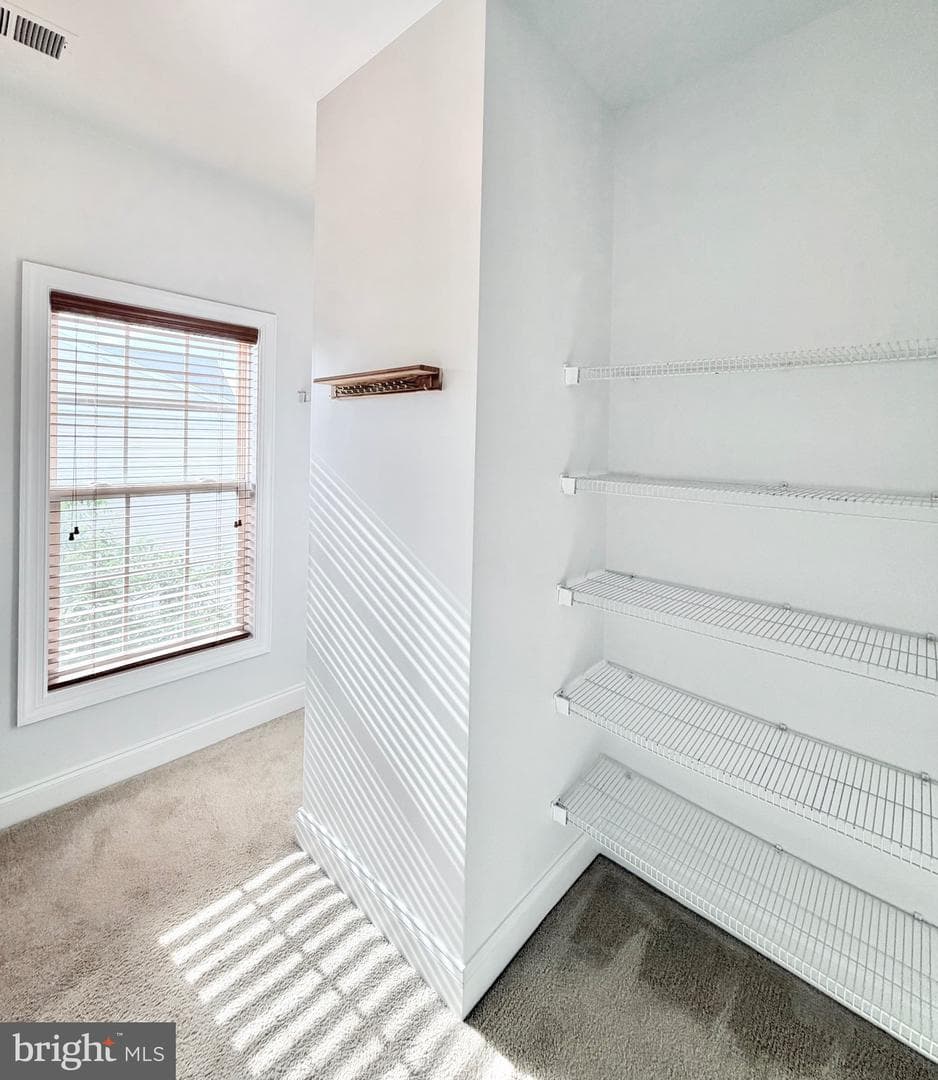15925 Greymill Manor Drive photo 42