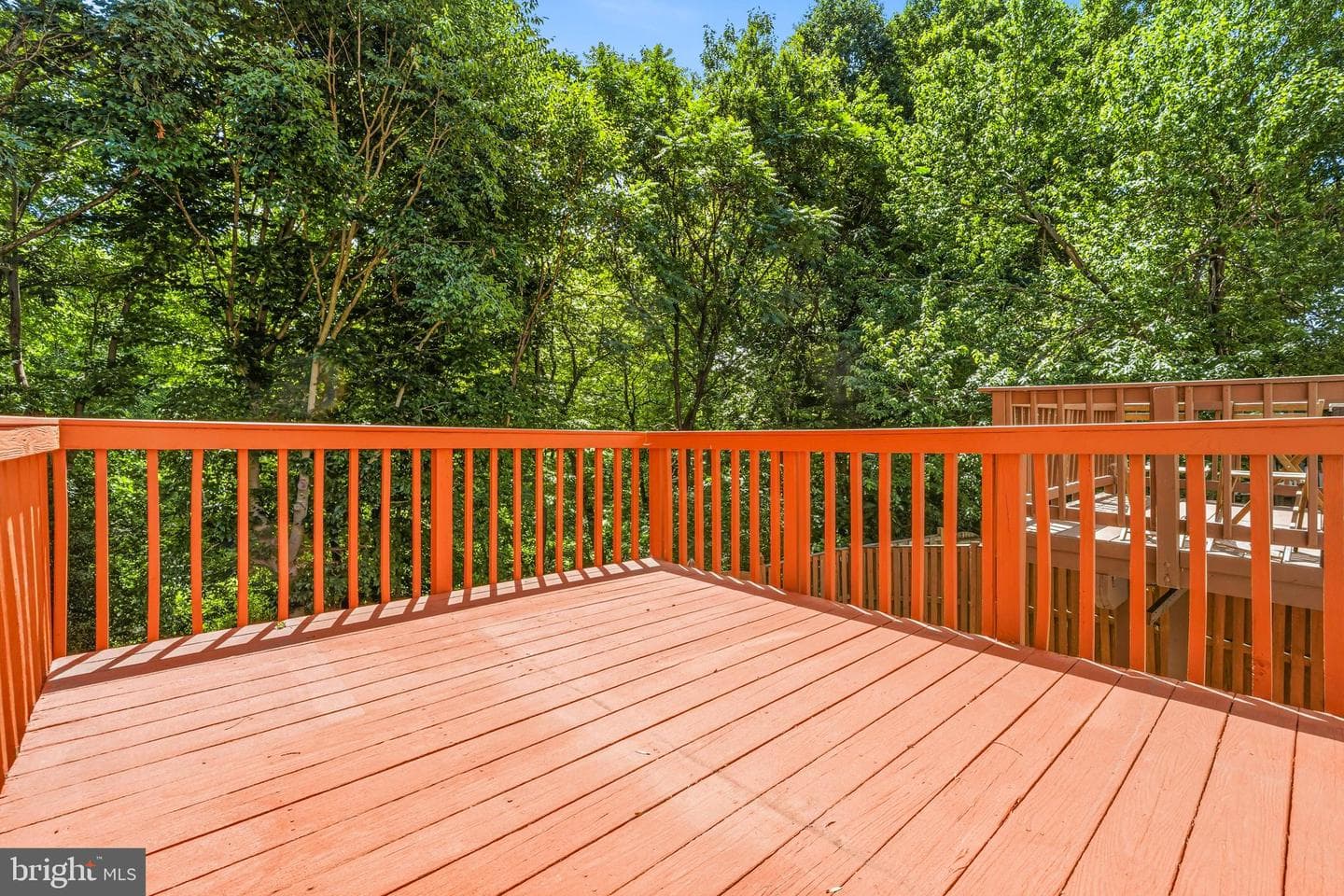 15203 Valley Stream Drive photo 13