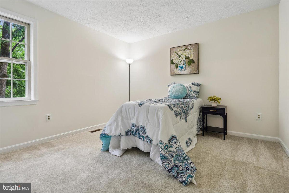 15427 Skyline Drive photo 19