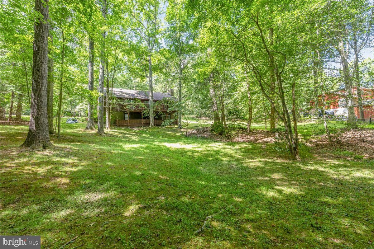 12212 Woodlark Court photo 62