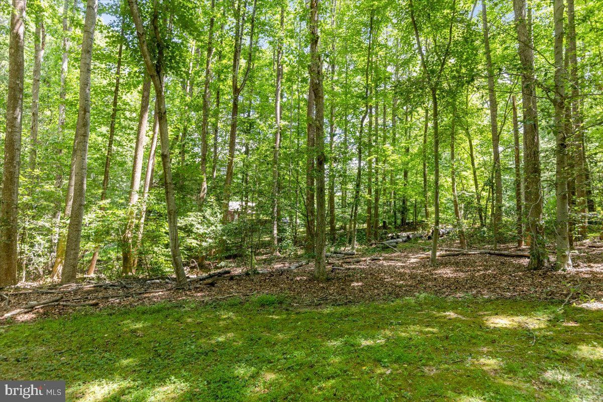 12212 Woodlark Court photo 63