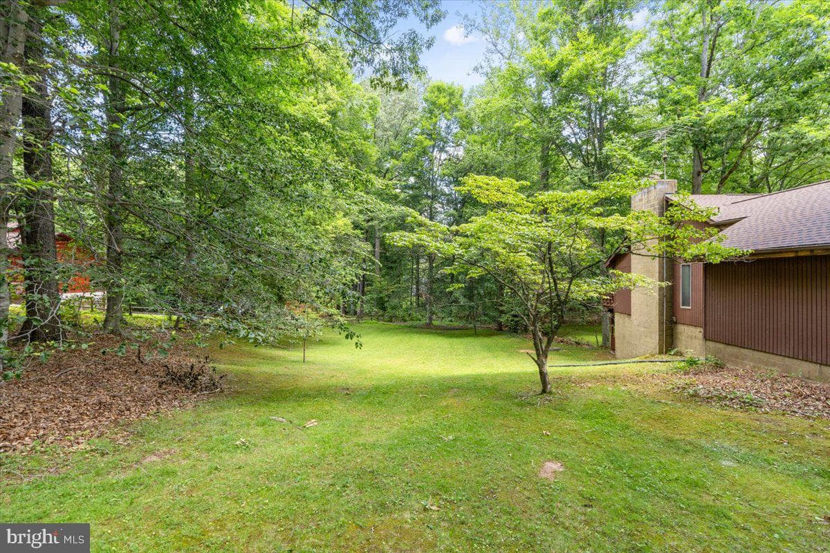 12212 Woodlark Court photo 69