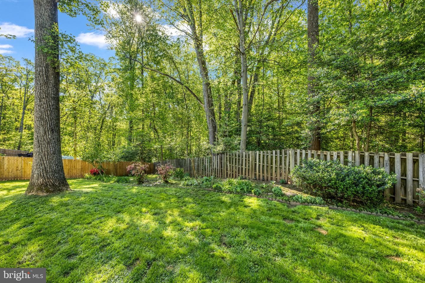 13187 Trails End Court photo 46