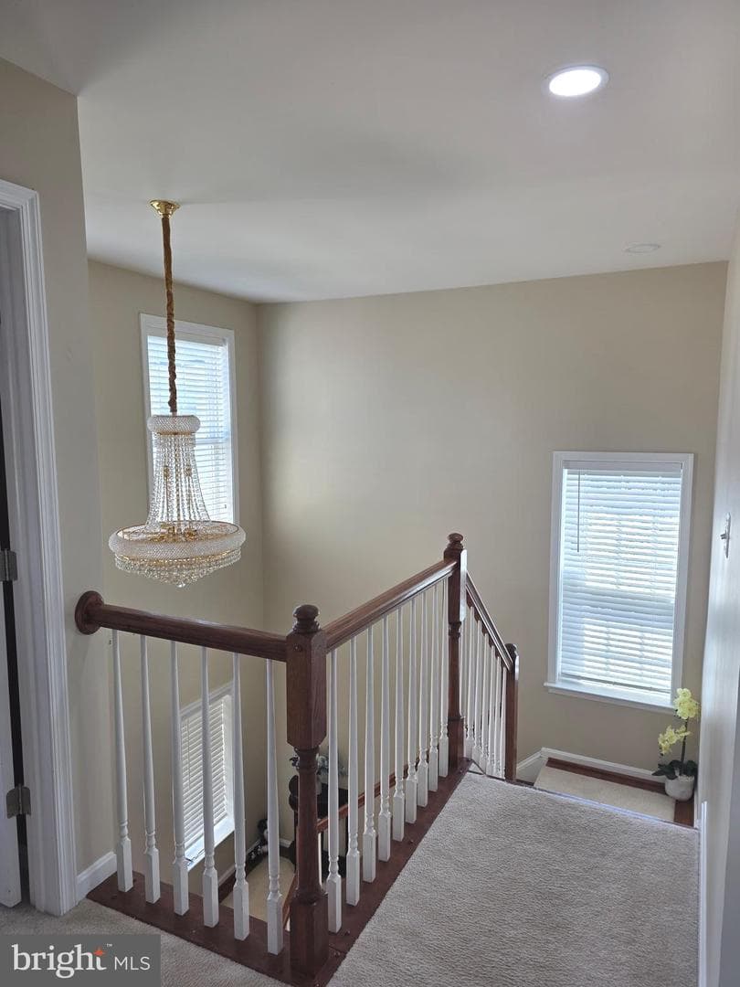 14986 Gossom Manor Place photo 20