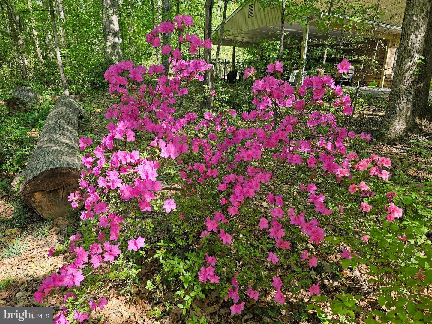 13437 Bristow Road photo 57