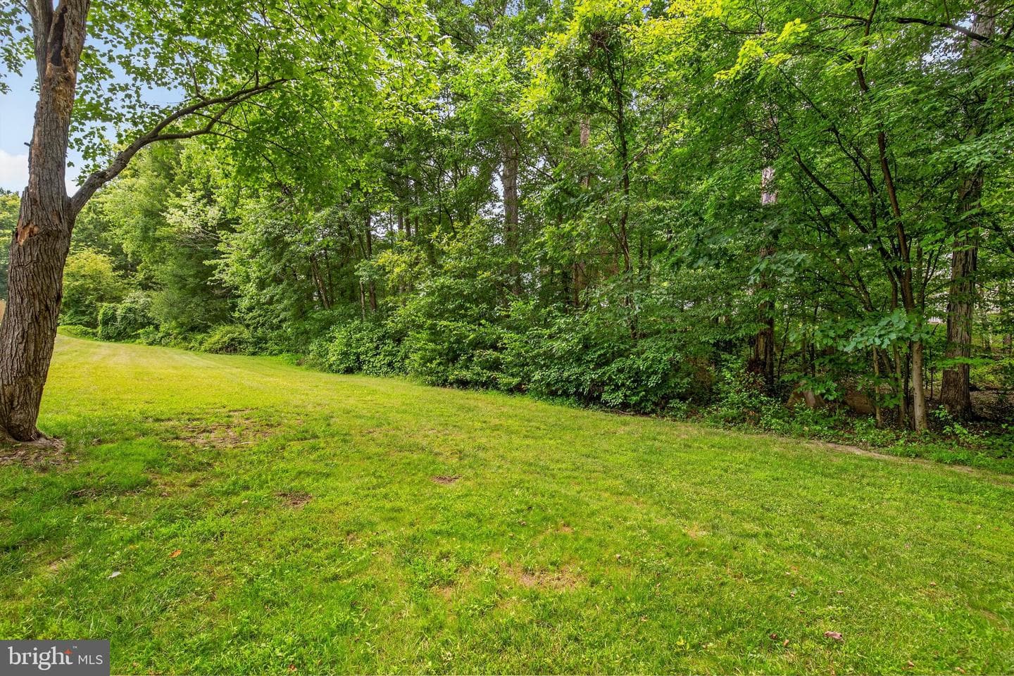 12104 Winona Drive photo 39