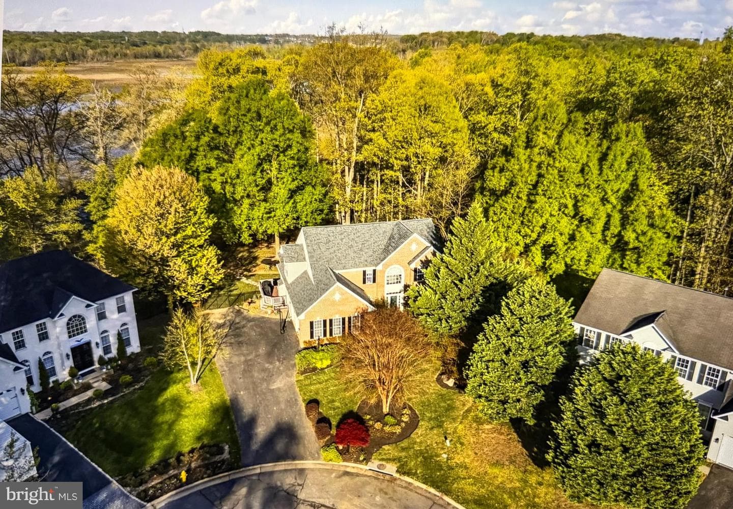 15590 Canvasback Court photo 4