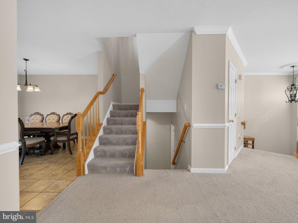 17507 Cajun Court photo 26