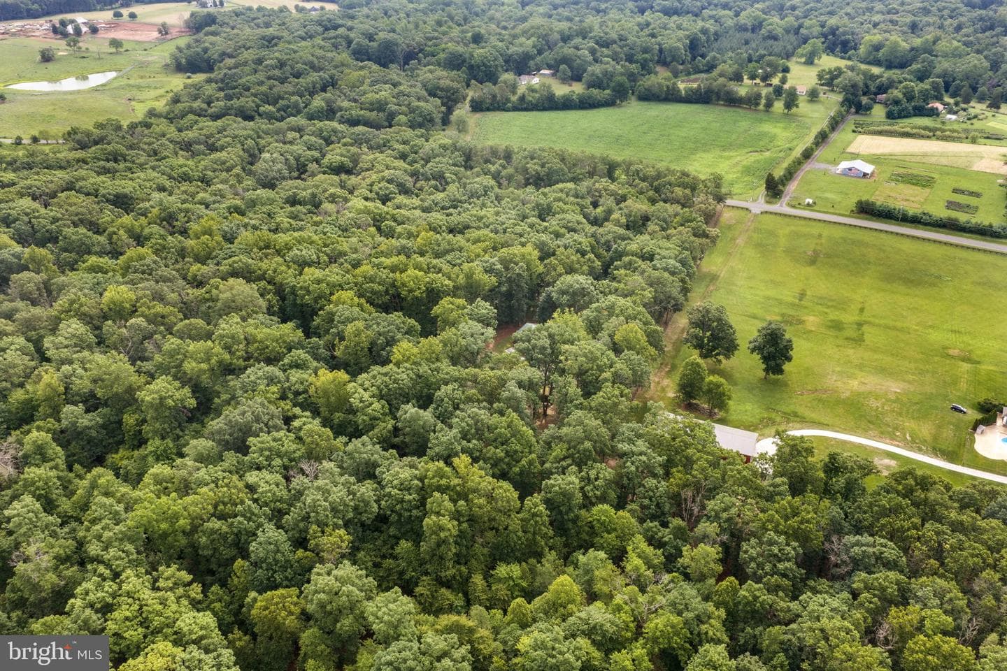 10904 Manley Road photo 44