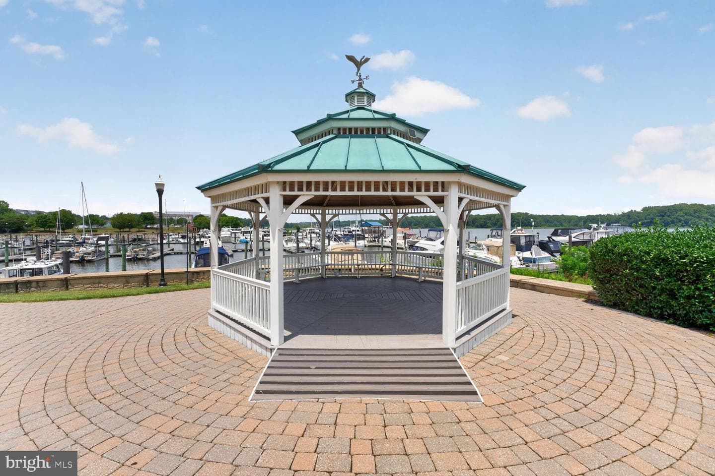810 Belmont Bay Drive #204 photo 22