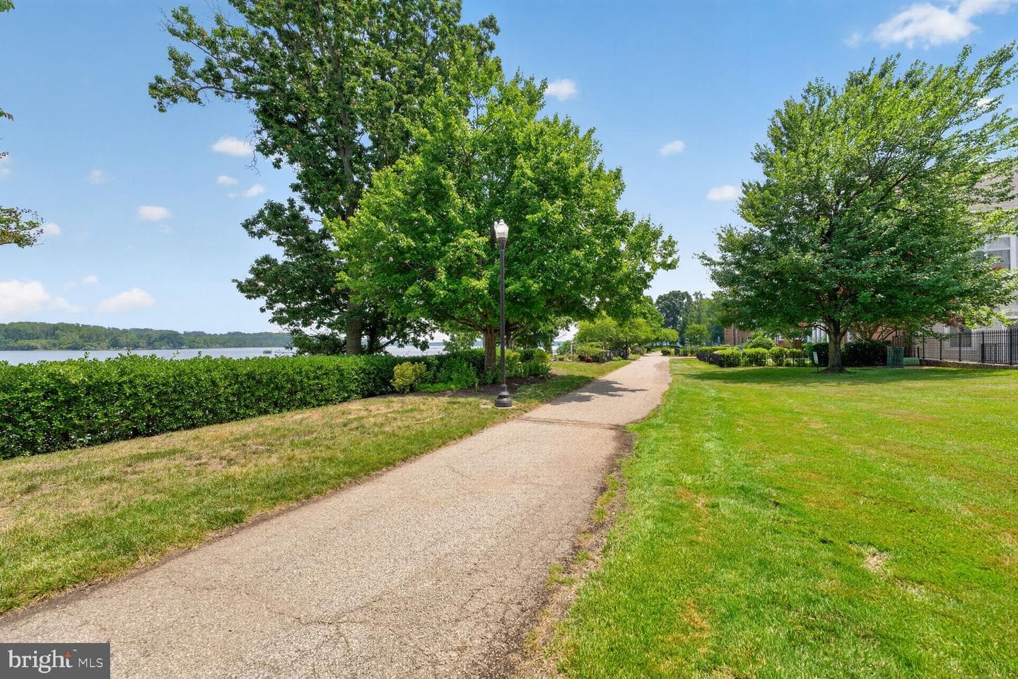 810 Belmont Bay Drive #204 photo 23