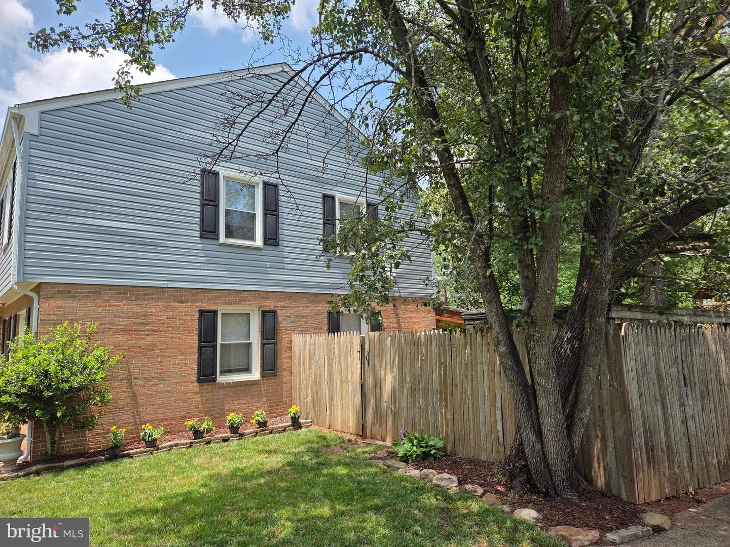 10102 Henry Court photo 35