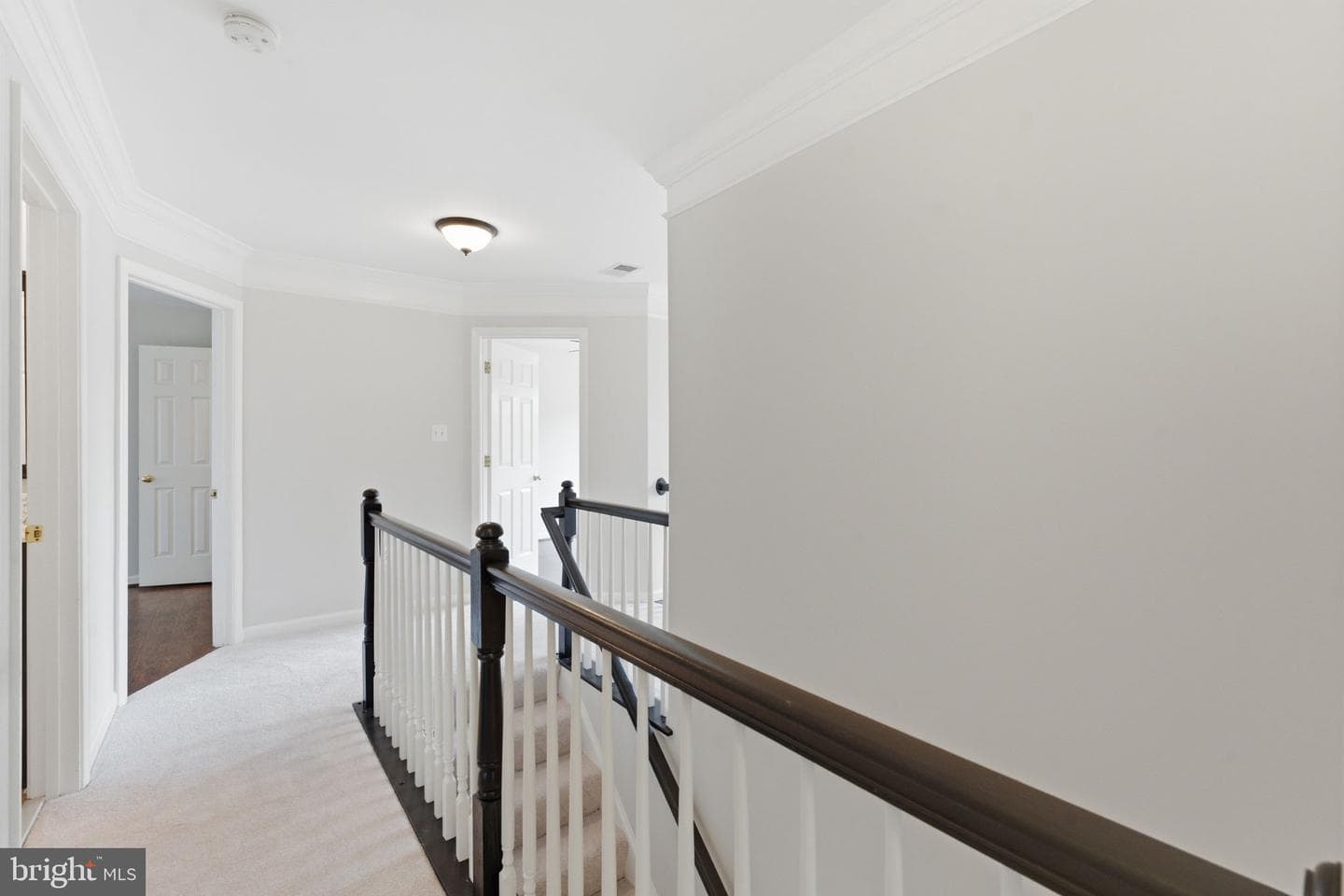 12016 Paper Birch Lane photo 41