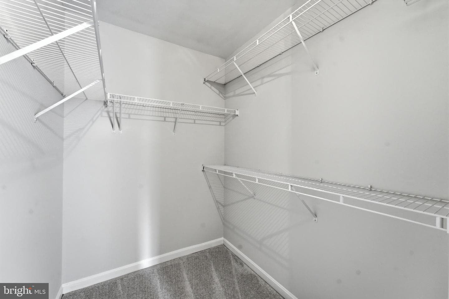 12016 Paper Birch Lane photo 49