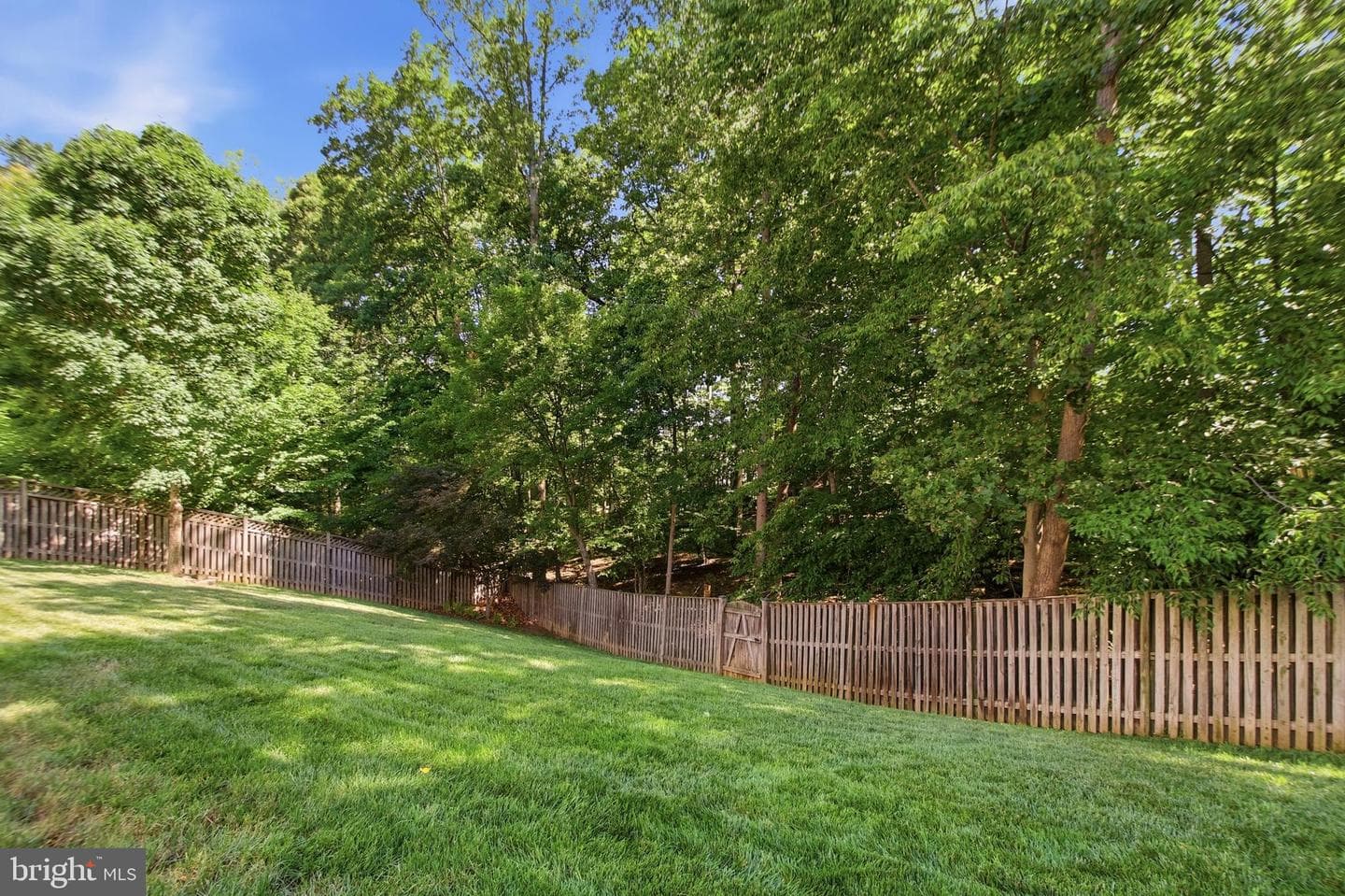 3646 Thomasson Crossing Drive photo 59