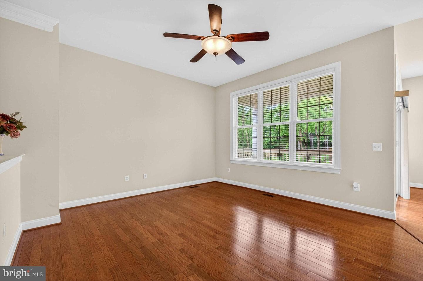 5416 Zoysia Court photo 21