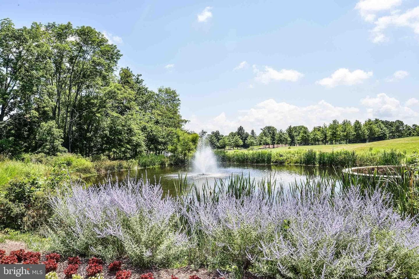 5416 Zoysia Court photo 64