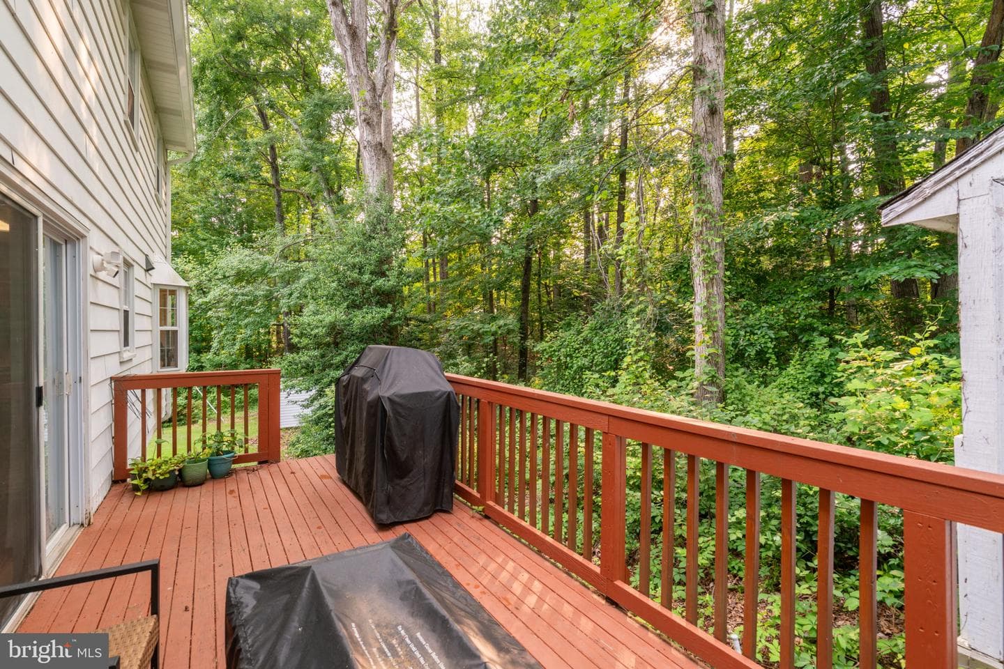 13402 Carrageen Drive photo 64