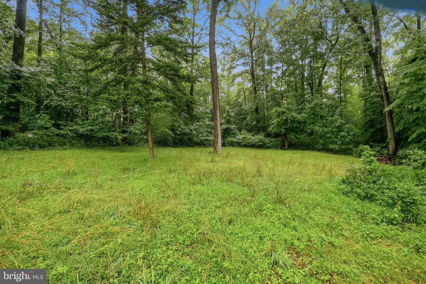 14391 Orange Court photo 40