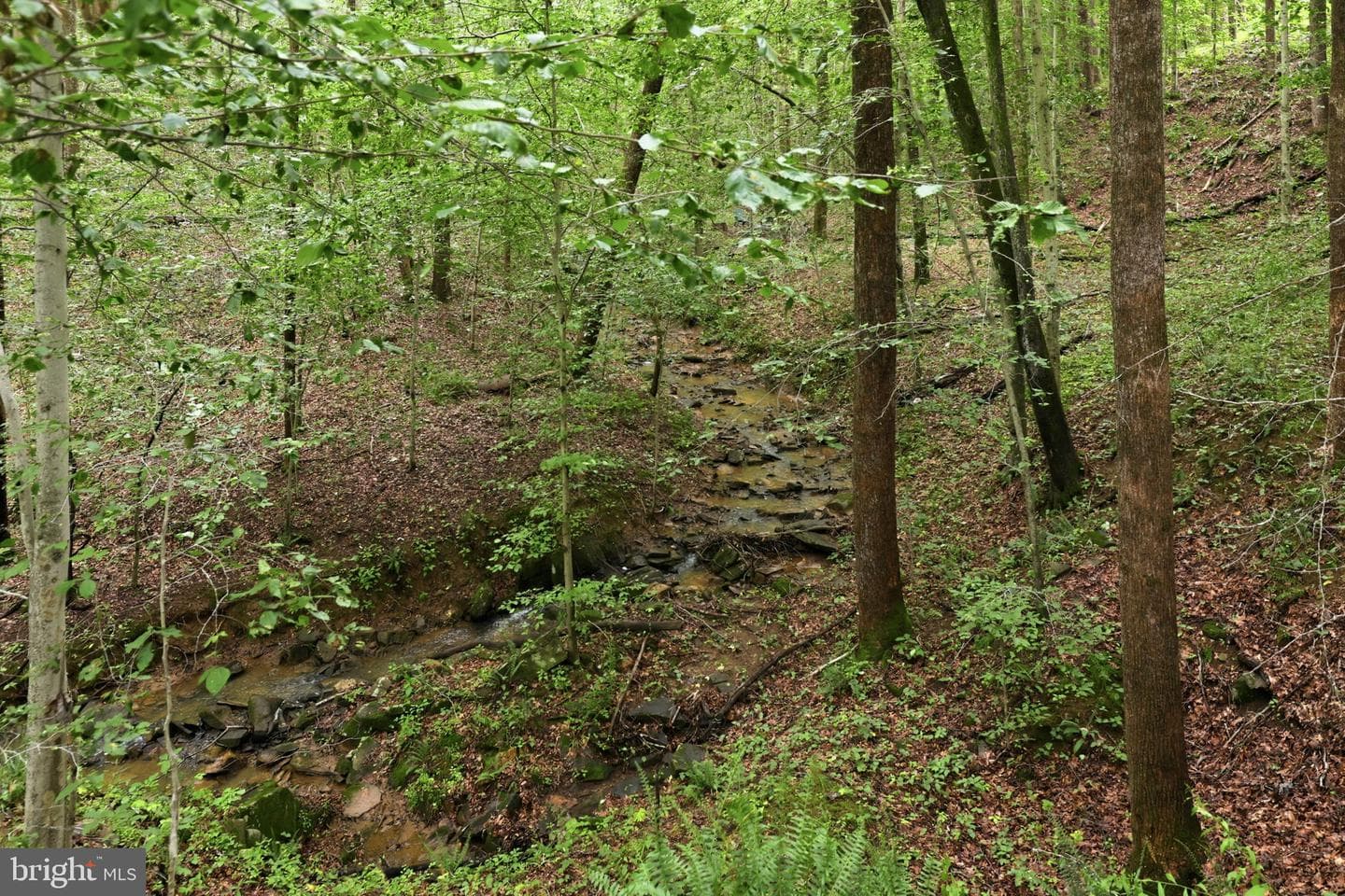 11509 Summit Ridge Court photo 7
