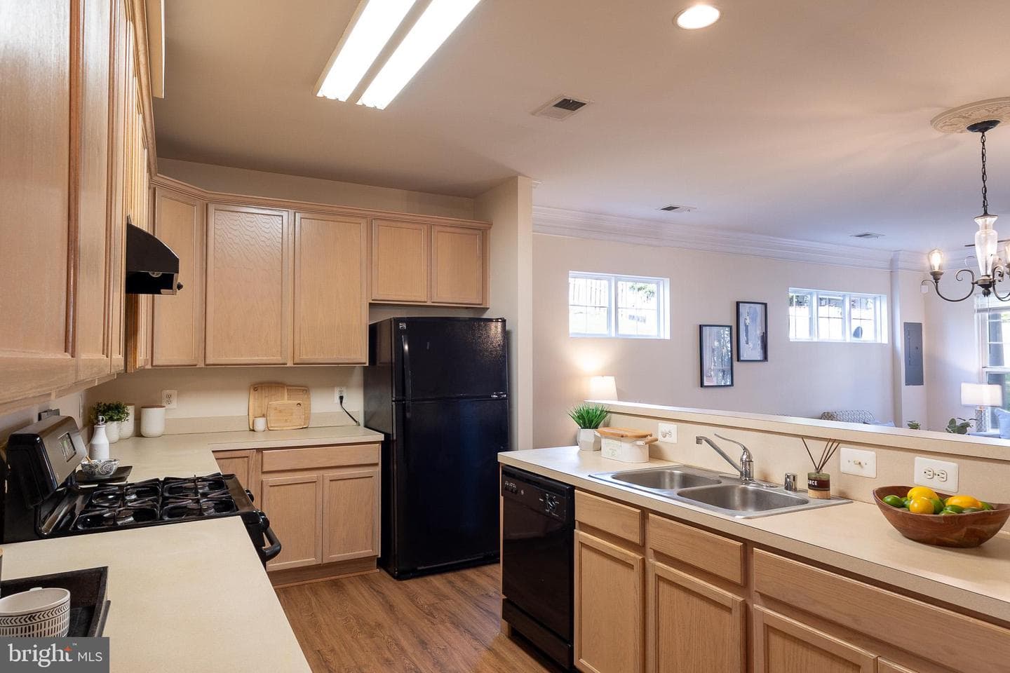 16518 Bobster Court photo 9