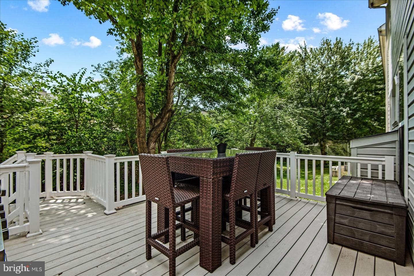 4505 Shotwell Court photo 47