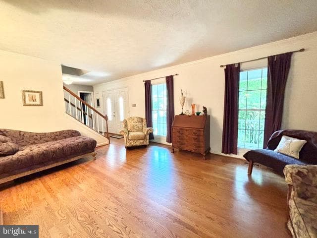 6512 Basil Court photo 15