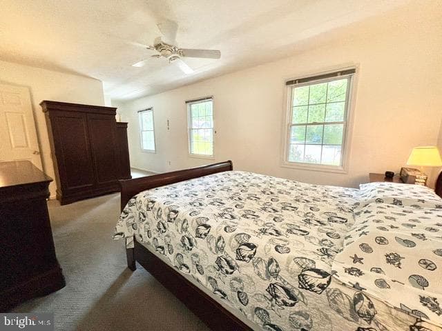6512 Basil Court photo 18
