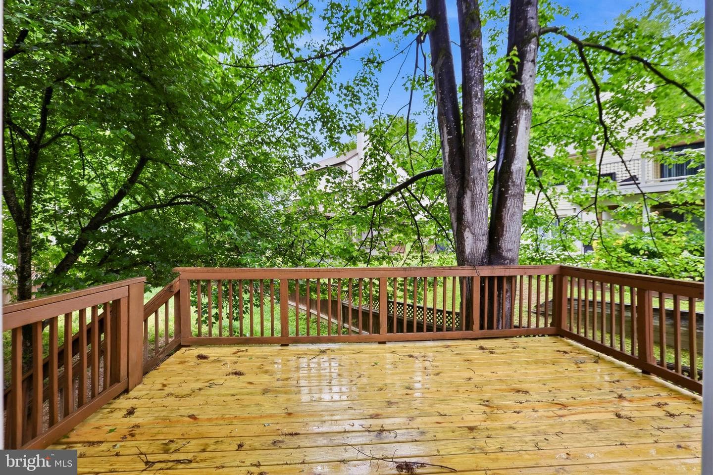 4306 Candlestick Court photo 34