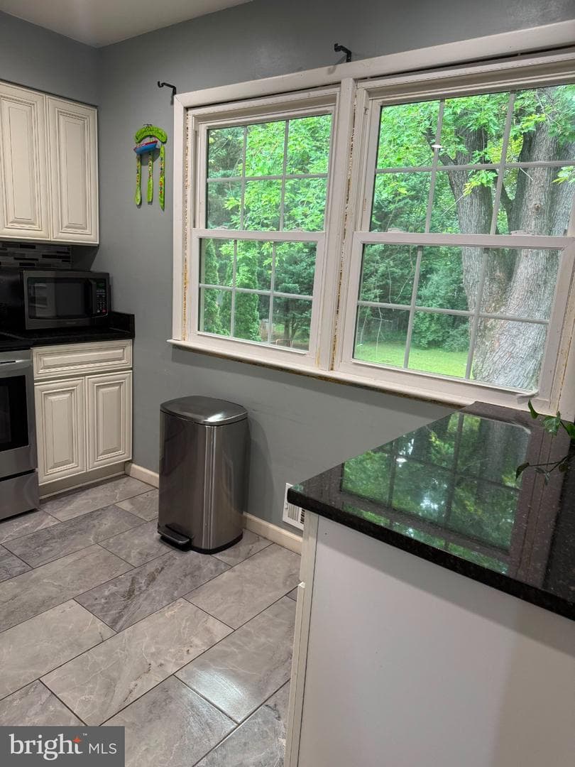 3924 Forge Drive photo 7
