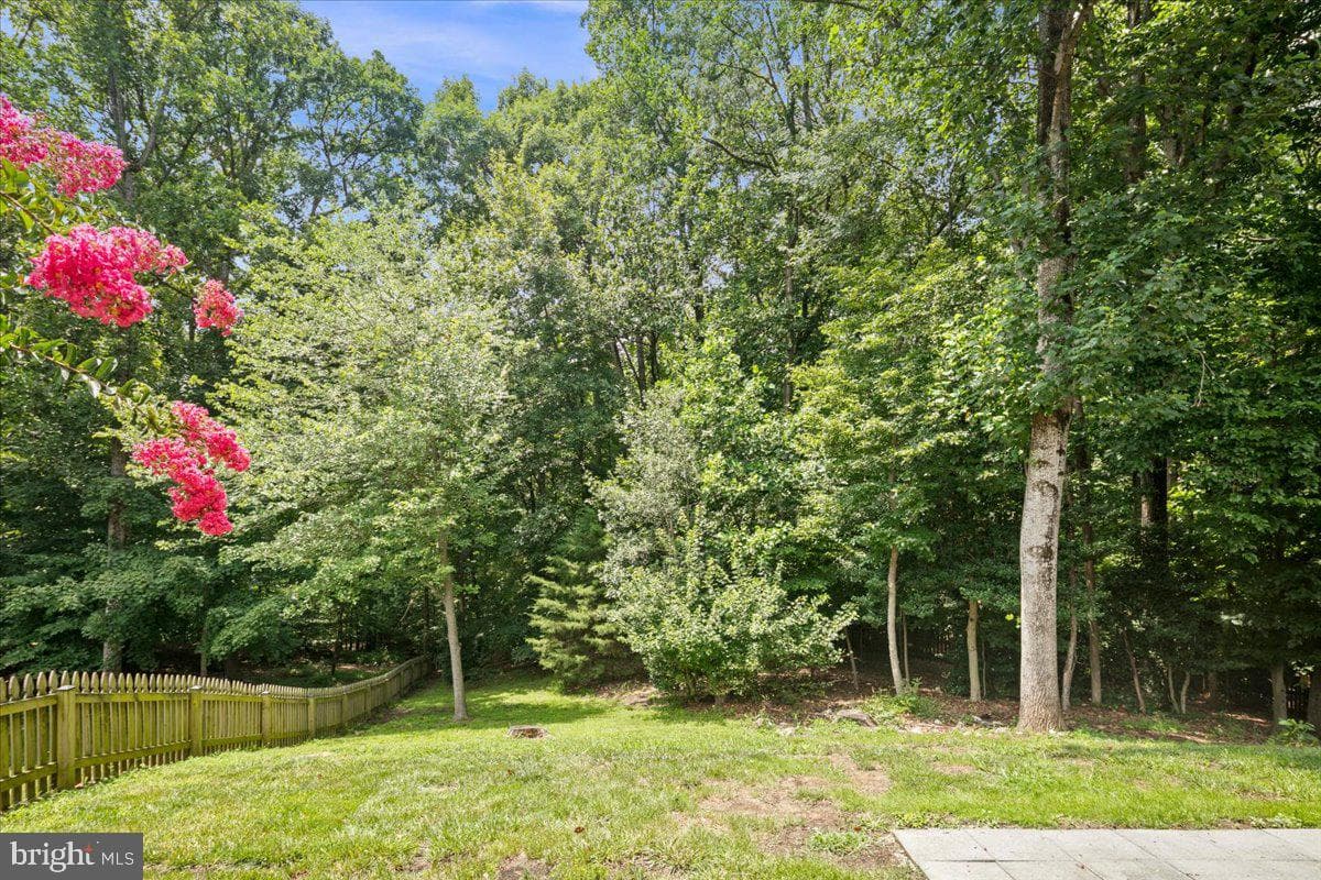 12518 Hedges Run Drive photo 3