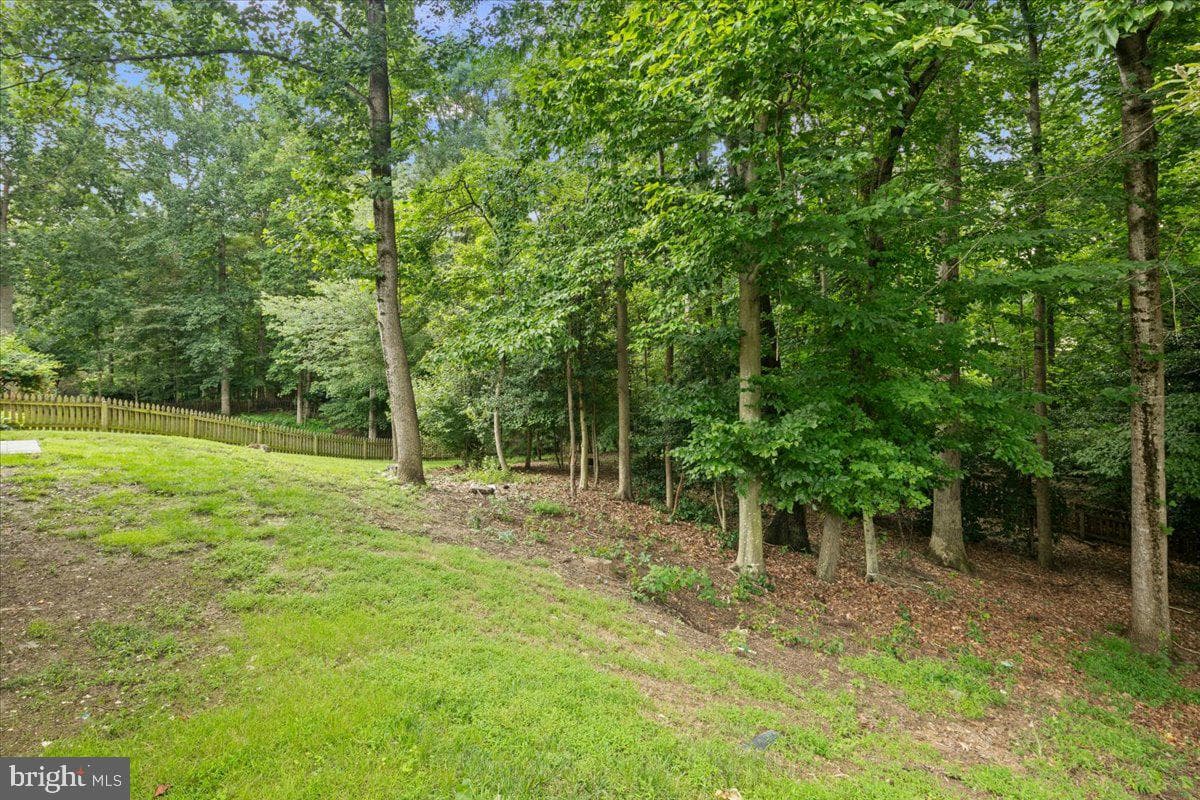 12518 Hedges Run Drive photo 43