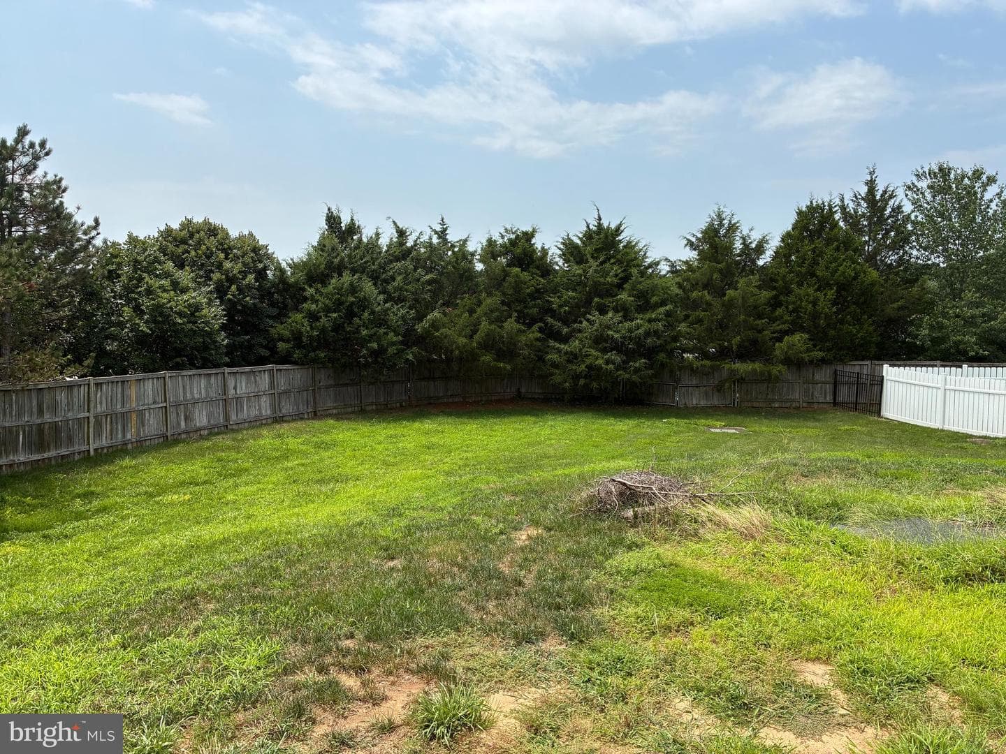 16245 Chase Eagle Lane photo 4