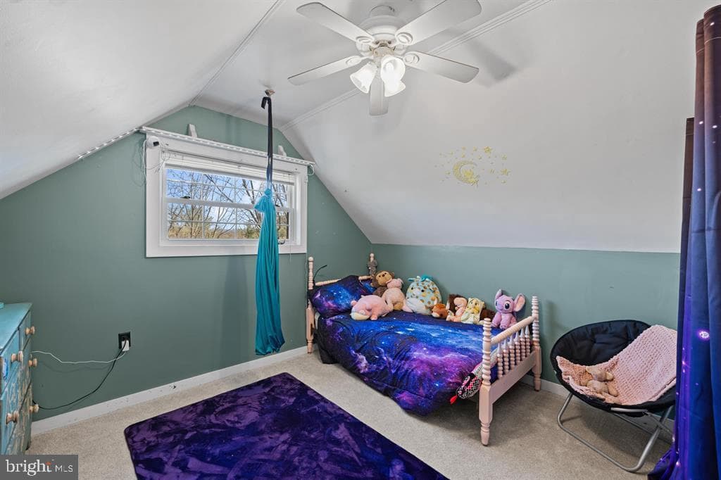 1015 Hamlet Drive photo 37