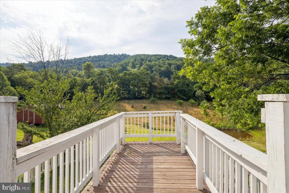 20448 Mount Pleasant Road photo 39